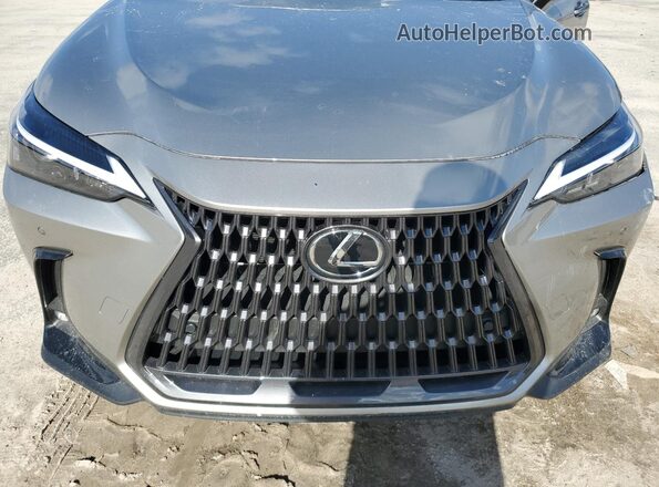 2T2GDCAZ2SC018358 2025 LEXUS NX Gray Vista del compartimento del motor
