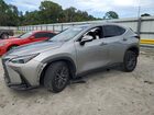 2024 Lexus Nx 250 Premium Gray vin: 2T2GDCAZ6RC011391