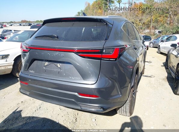 2T2GDCAZ7SC028917 2025 LEXUS NX 250 Серый Задняя правая четверть