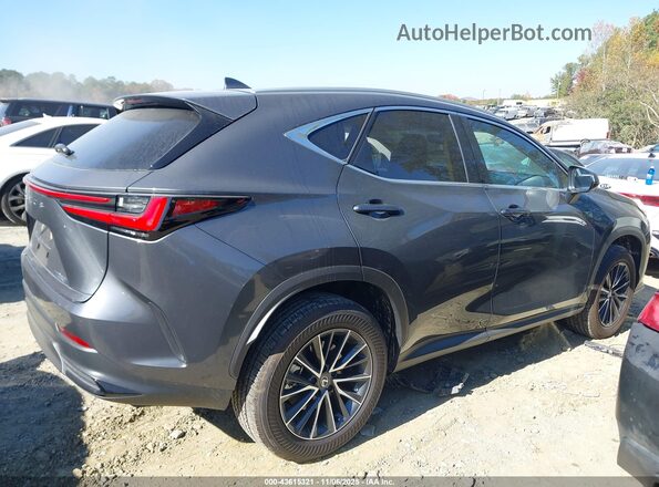 2T2GDCAZ7SC028917 2025 LEXUS NX 250 Серый Вид задней части салона