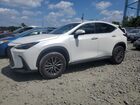 2024 Lexus Nx 350 Premium White vin: 2T2GGCEZ2RC032515