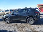 2024 Lexus Nx 350 Premium Black vin: 2T2GGCEZ2RC059116