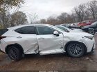 2025 Lexus Nx 350 Premium White vin: 2T2GGCEZ2SC069702