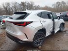 2025 Lexus Nx 350 Premium White vin: 2T2GGCEZ2SC069702