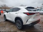 2025 Lexus Nx 350 Premium White vin: 2T2GGCEZ2SC069702