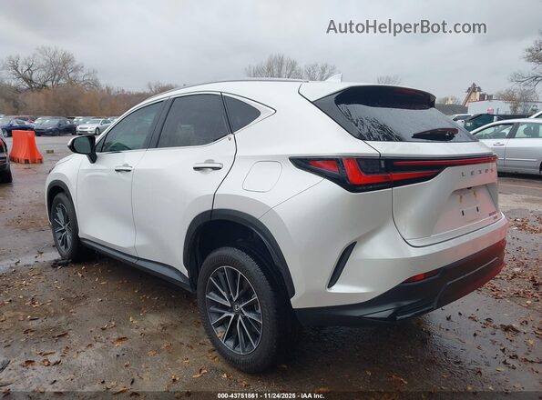 2T2GGCEZ2SC069702 2025 LEXUS NX 350 White უკანა მარცხენა