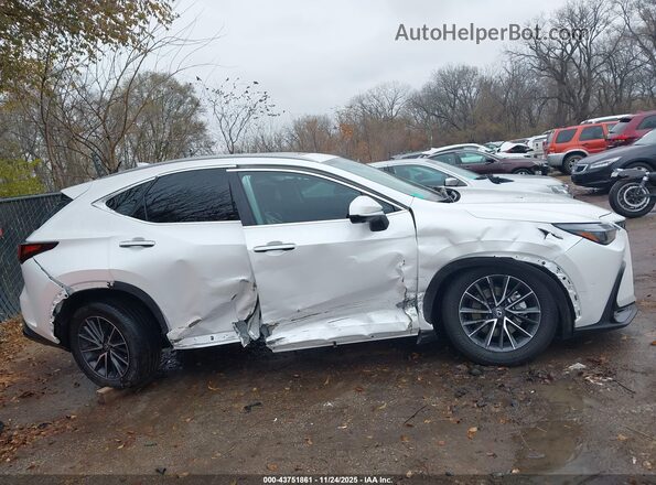 2T2GGCEZ2SC069702 2025 LEXUS NX 350 White უკანა სალონის ხედი