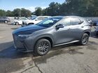 2023 Lexus Nx 350 Gray vin: 2T2GGCEZ4PC030651