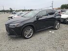 2025 Lexus Nx 350 Premium Black vin: 2T2GGCEZ4SC065084