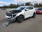 2023 Lexus Nx 350 White vin: 2T2GGCEZ5PC019884