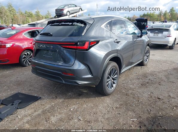 2T2GGCEZ5SC091872 2025 LEXUS NX 350 Gray Rear right