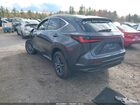 2025 Lexus Nx 350 Premium Gray vin: 2T2GGCEZ5SC091872