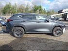 2025 Lexus Nx 350 Premium Gray vin: 2T2GGCEZ5SC091872