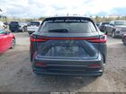 2025 Lexus Nx 350 Premium Gray vin: 2T2GGCEZ5SC091872