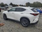 2023 Lexus Nx 350 White vin: 2T2GGCEZ6PC023359