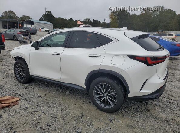 2T2GGCEZ6PC023359 2023 LEXUS NX White უკანა მარცხენა
