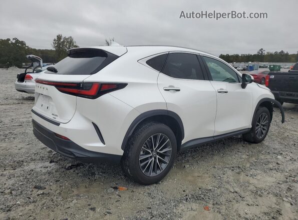 2T2GGCEZ6PC023359 2023 LEXUS NX White უკანა მარჯვენა