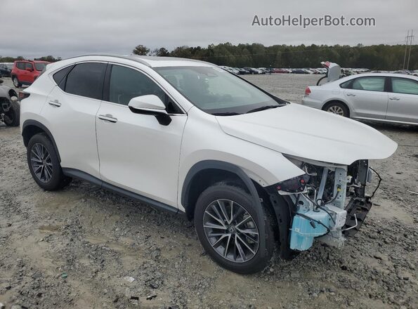 2T2GGCEZ6PC023359 2023 LEXUS NX White წინა მარჯვენა