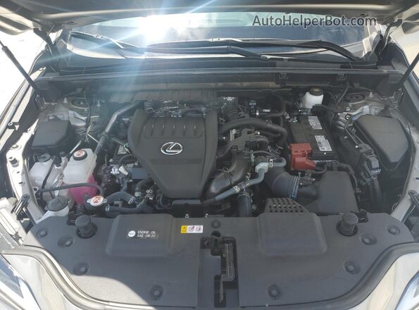 2T2GGCEZ6PC027007 2023 LEXUS NX Gold Vista del compartimento del motor
