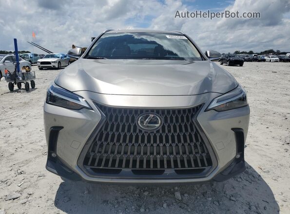 2T2GGCEZ6PC027007 2023 LEXUS NX Gold Vista frontal