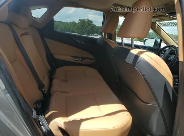 2T2GGCEZ6PC027007 2023 LEXUS NX Gold Vista interior trasera