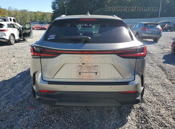 2T2GGCEZ7PC023192 2023 LEXUS NX Silver Вид ззаду