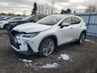 2022 Lexus Nx 350 White vin: 2T2GGCEZXNC005671