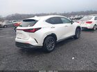 2025 Lexus Nx 350h Premium White vin: 2T2GKCEZ2SC054227