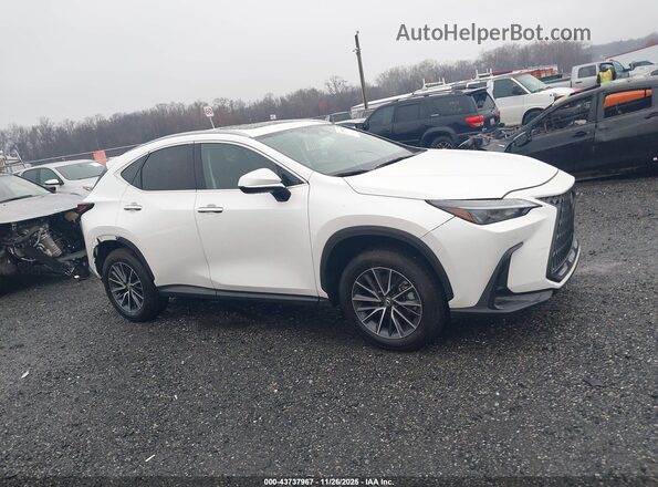 2T2GKCEZ2SC054227 2025 LEXUS NX 350H White Вид задньої частини салону