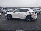 2025 Lexus Nx 350h Premium White vin: 2T2GKCEZ2SC054227