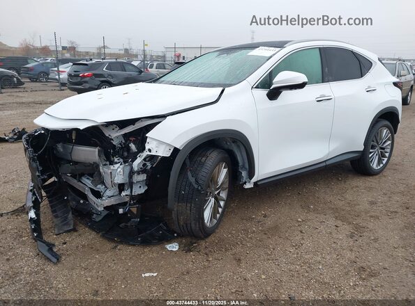 2T2HGCEZ0TC102086 2026 LEXUS NX White Przód lewy