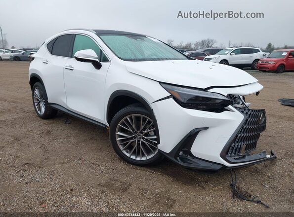 2T2HGCEZ0TC102086 2026 LEXUS NX White Przód prawy