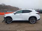 2026 Lexus Nx Nx 350 Luxury White vin: 2T2HGCEZ0TC102086