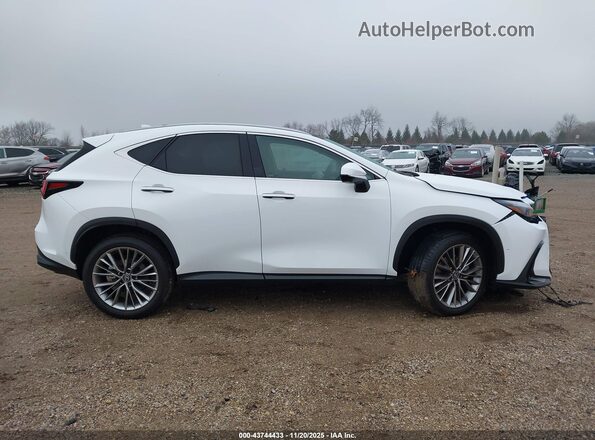 2T2HGCEZ0TC102086 2026 LEXUS NX White Widok wnętrza z tyłu