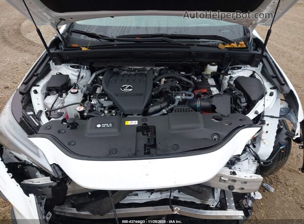 2T2HGCEZ0TC102086 2026 LEXUS NX White Widok z tyłu