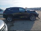 2023 Lexus Nx 350 Luxury Black vin: 2T2HGCEZ2PC021855
