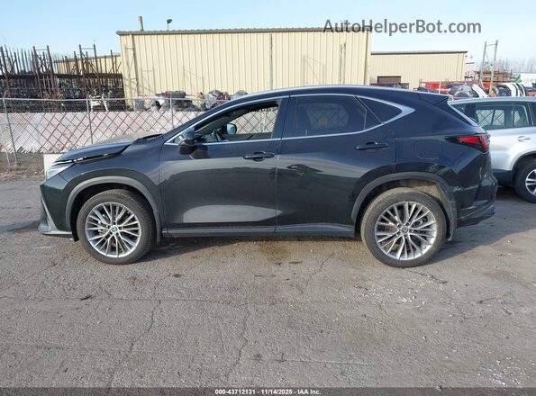2T2HGCEZ2PC021855 2023 LEXUS NX 350 Black სალონის 360-გრადუსიანი ხედი