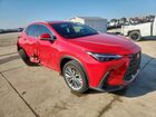 2023 Lexus Nx 350 Luxury Red vin: 2T2HGCEZ5PC026029