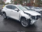 2024 Lexus Nx 350 Luxury White vin: 2T2HGCEZ7RC036029