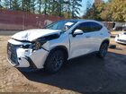 2025 Lexus Nx 350 Luxury White vin: 2T2HGCEZ9SC085299
