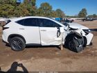 2025 Lexus Nx 350 Luxury White vin: 2T2HGCEZ9SC085299