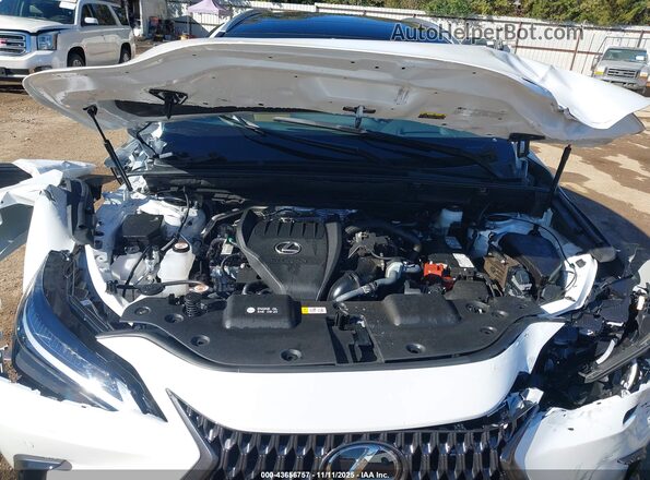 2T2HGCEZ9SC085299 2025 LEXUS NX 350 White Вид ззаду