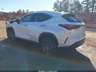 2025 Lexus Nx 350 Luxury White vin: 2T2HGCEZ9SC085299