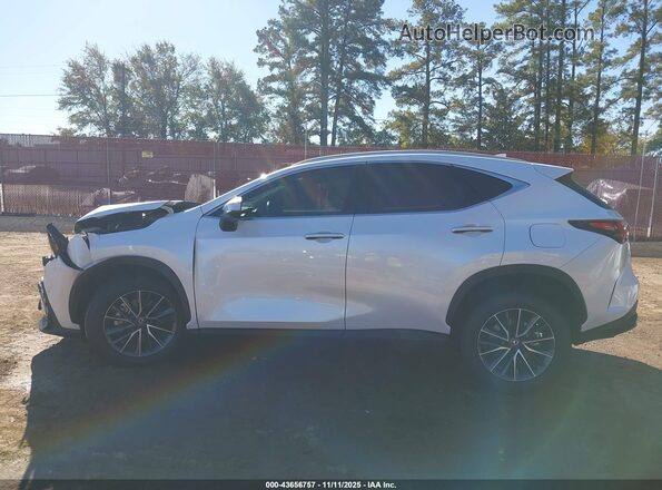 2T2HGCEZ9SC085299 2025 LEXUS NX 350 White Панорамний вид салону 360°