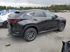 2026 Lexus Nx 350h Base Black vin: 2T2HKCEZ1TC059327