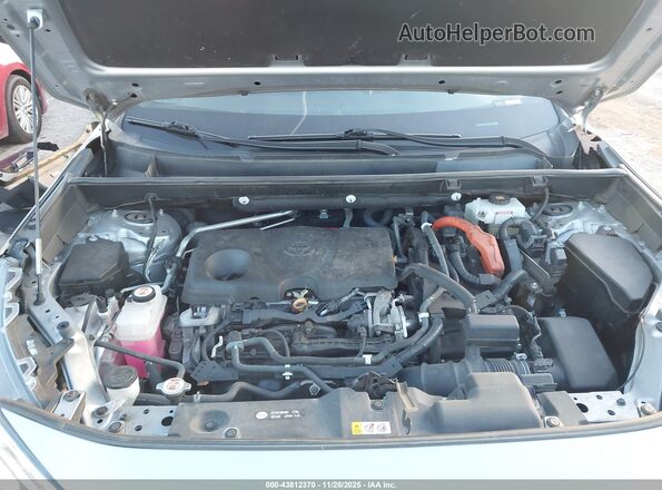 2T3EWRFV7LW080196 2020 TOYOTA RAV4 HYBRID Gray Widok z tyłu