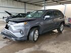 2025 Toyota Rav4 Limited Gray vin: 2T3N1RFV7SC513000