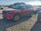 2024 Toyota Rav4 Limited Red vin: 2T3N1RFV9RW424005
