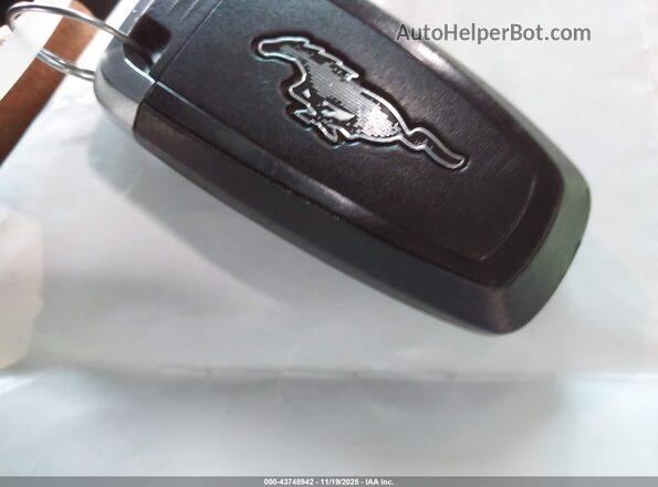 3FMTK1RMXMMA49465 2021 FORD MUSTANG MACH-E Серый Вид панели приборов