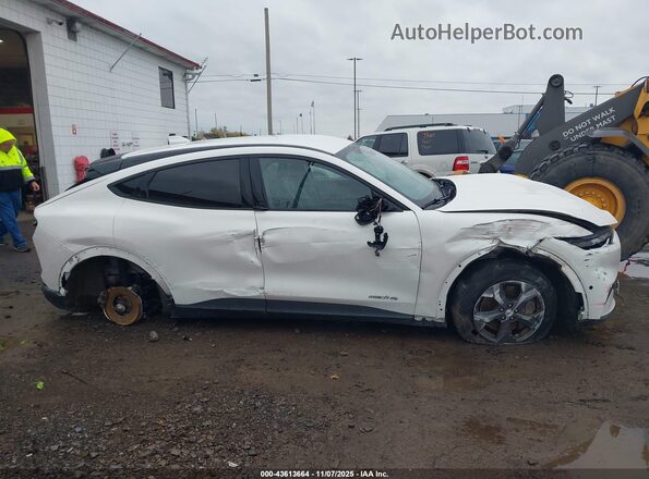 3FMTK1SS5MMA20013 2021 FORD MUSTANG MACH-E White Widok wnętrza z tyłu